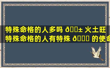 特殊命格的人多吗 🐱 火土旺「特殊命格的人有特殊 🐈 的使命」